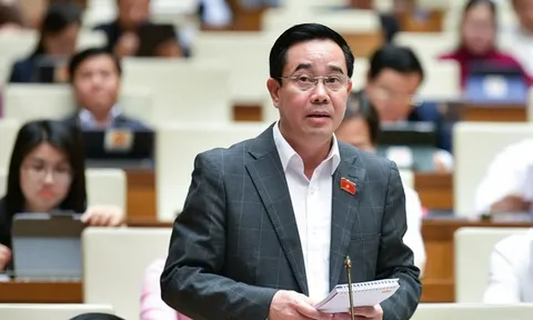 ĐBQH: Sớm xây dựng luật tránh 'phông bạt', trục lợi từ thiện
