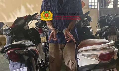 Triệt phá đường dây chuyên trộm cắp, tiêu thụ xe gian