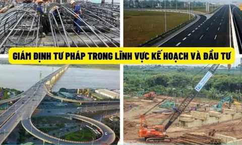 Đề xuất tiêu chuẩn, thủ tục bổ nhiệm giám định viên tư pháp lĩnh vực kế hoạch và đầu tư
