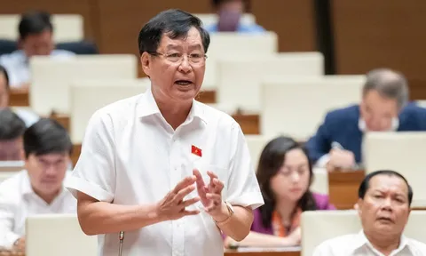 ĐBQH nêu lý do cần đánh giá ý nghĩa, vai trò của tài sản, vật chứng đối với vụ án