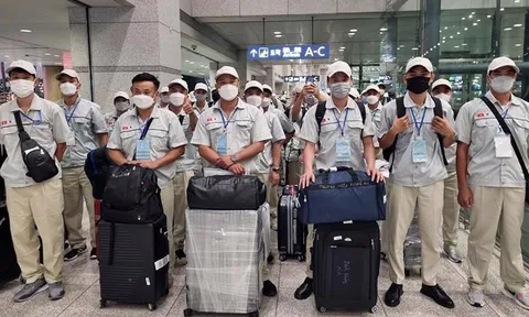 Đưa người đi lao động nước ngoài sẽ bị xử lý như thế nào?