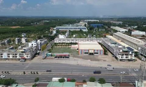 Khởi tố nguyên Phó Chủ tịch UBND tỉnh Đồng Nai