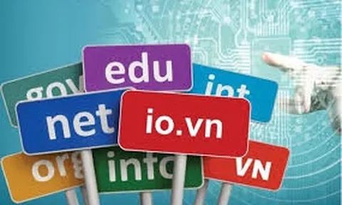 Các trường hợp bị thu hồi tên miền từ ngày 25/12/2024