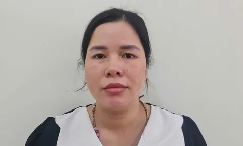 Khởi tố đối tượng lợi dụng công ty bảo hiểm để lừa đảo chiếm đoạt tài sản