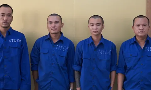 Triệt phá ổ nhóm tội phạm hoạt động núp bóng doanh nghiệp ở Quảng Ninh