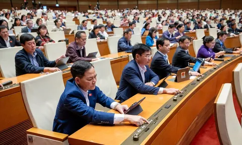 Triệt để cắt giảm, đơn giản hóa thủ tục hành chính, điều kiện kinh doanh dịch vụ PCCC