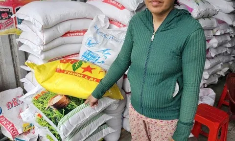 Bắt 'nữ quái' trộm cắp tài sản tại cửa hàng ở Tiền Giang