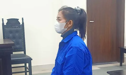 Người phụ nữ buôn bán hoa quả lừa đảo hơn 9 tỷ đồng