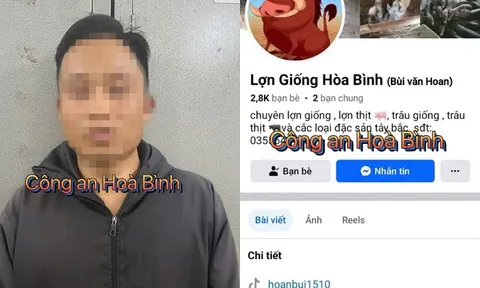 Bắt đối tượng lừa mua bán lợn trên mạng để chiếm đoạt tiền đặt cọc