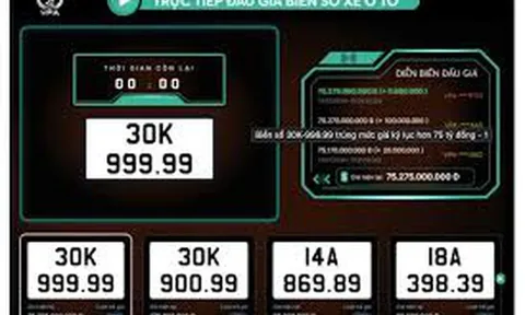 Trình tự các bước thực hiện một cuộc đấu giá biển số xe