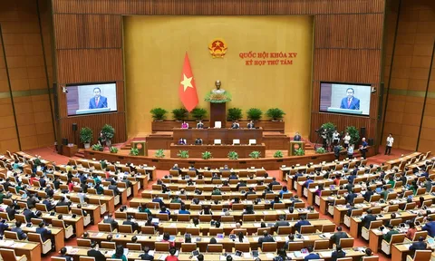 Quốc hội ban hành Nghị quyết Kỳ họp thứ 8, Quốc hội khóa XV