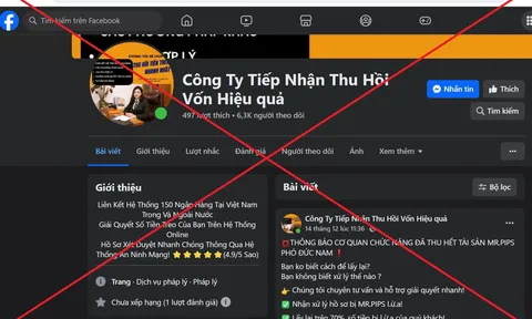 Cảnh giác với chiêu lừa hỗ trợ lấy lại tiền bị Mr Pips chiếm đoạt