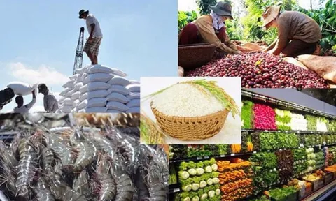 Đề xuất 4 chính sách phát triển nhãn hiệu, thương hiệu nông sản Việt Nam