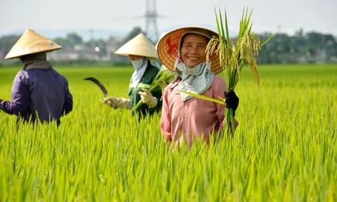 Đề xuất miễn thuế sử dụng đất nông nghiệp đến hết năm 2030