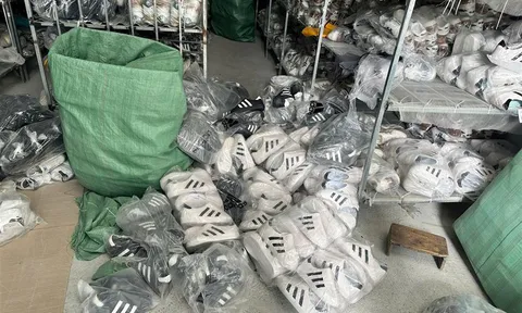 Thu giữ gần 6.000 đôi giày có dấu hiệu giả mạo nhãn hiệu nổi tiếng