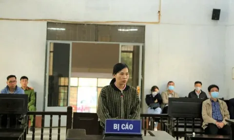 Cựu thủ quỹ Trường Chính trị tỉnh Đắk Lắk lĩnh án tù vì tham ô tài sản