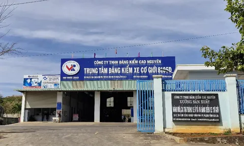 Giám đốc và Phó Giám đốc Trung tâm Đăng kiểm ở Gia Lai bị truy tố