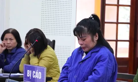 Nữ giám đốc lừa đảo chiếm đoạt hơn 4 tỷ đồng