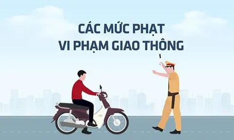 Những lỗi vi phạm giao thông thường gặp và mức phạt mới áp dụng từ 1/1/2025