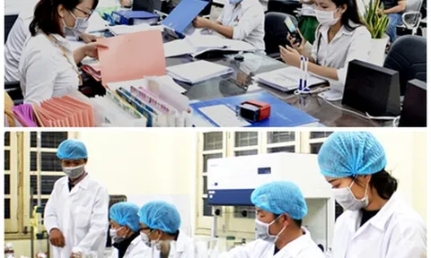 Quy định chính sách thu hút, trọng dụng người có tài năng làm việc trong cơ quan nhà nước