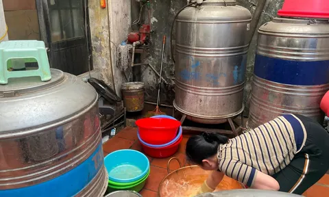 Tạm dừng hoạt động cơ sở bánh cốm Nguyên Ninh và bánh Jambon Thanh Hương