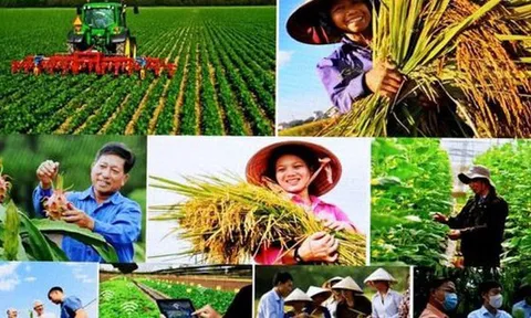 Hướng dẫn cơ chế quản lý tài chính của Quỹ Hỗ trợ nông dân