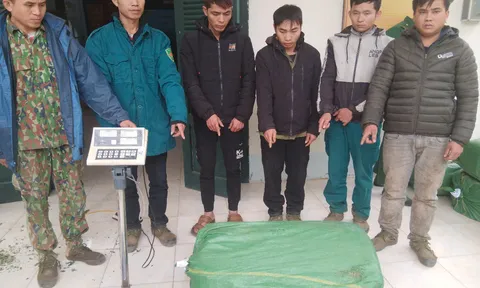 Bắt giữ nhóm đối tượng vận chuyển 360kg sâm lậu từ Trung Quốc