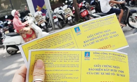 Từ 1/2025, tăng mức phạt lỗi không có bảo hiểm xe máy