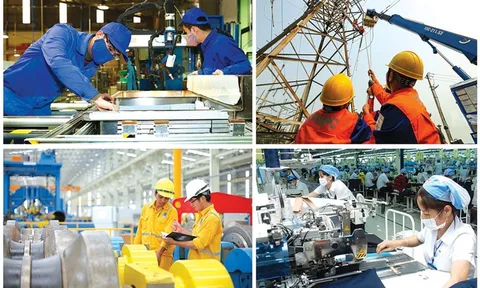 Xử lý điểm nghẽn trong sắp xếp, đổi mới và nâng cao hiệu quả hoạt động của DNNN
