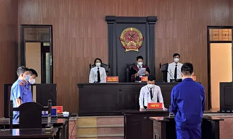 Đề xuất quy định về thẩm quyền, tổ chức các Tòa chuyên trách