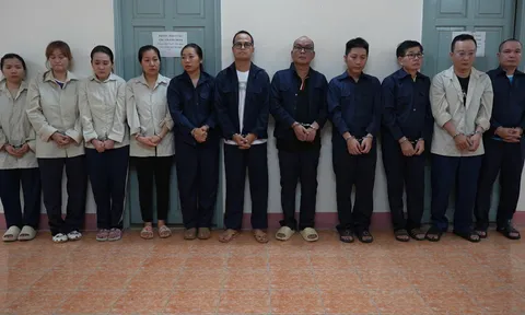 Khởi tố Chủ tịch Hiệp hội Gỗ và Lâm sản Việt Nam về tội đánh bạc