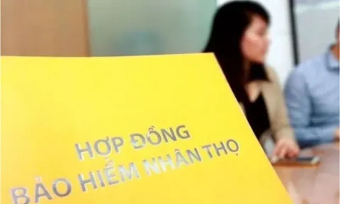 Những chính sách mới nổi bật có hiệu lực từ tháng 2/2025