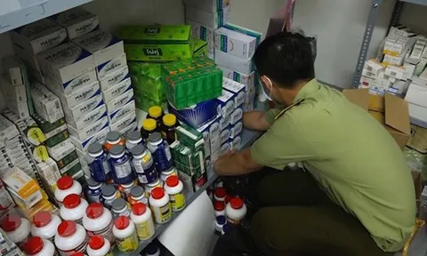 Truy tố đối tượng buôn bán thuốc giả bỏ trốn gần 26 năm