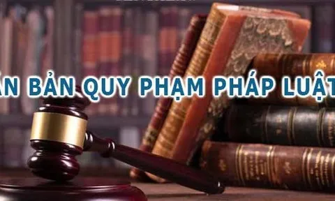 Người đứng đầu phải chịu trách nhiệm nếu đề xuất, ban hành văn bản trái pháp luật