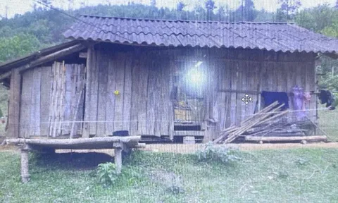 Mâu thuẫn gia đình, 'nghịch tử' giết mẹ rồi tự sát bất thành