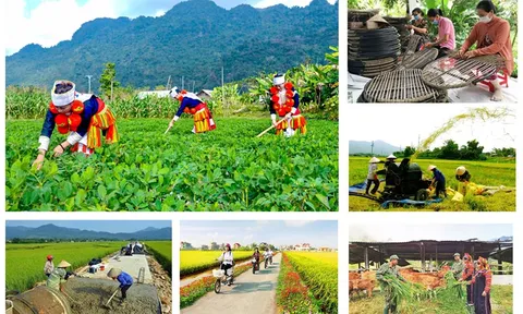 Thủ tướng ủy quyền 3 Bộ, cơ quan thông báo mục tiêu, nhiệm vụ năm 2025 của các chương trình mục tiêu quốc gia