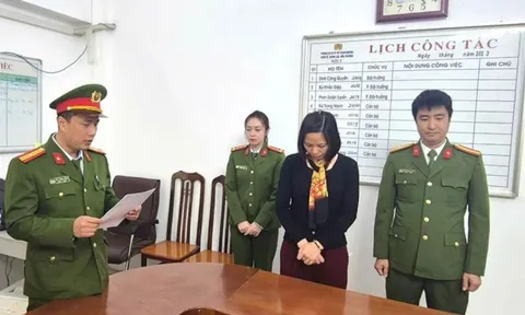 Khởi tố người phụ nữ làm giả báo cáo đánh giá tác động môi trường