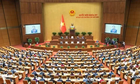 Quốc hội họp bàn về cơ cấu tổ chức và số lượng thành viên Chính phủ