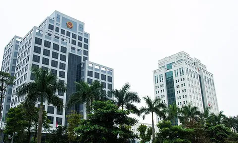 Đề xuất xây dựng chính sách vượt trội với chuyên gia cao cấp