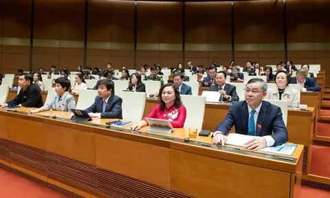 Thông qua Luật Tổ chức chính quyền địa phương (sửa đổi), bảo đảm thể chế cho sắp xếp, tinh gọn bộ máy