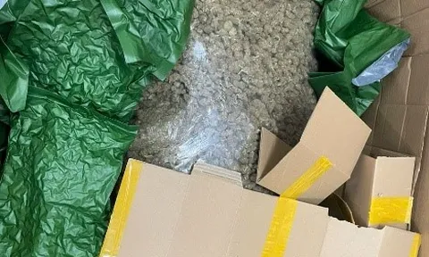 Đề nghị truy tố 14 đối tượng trong đường dây mua bán hơn 700 kg cần sa