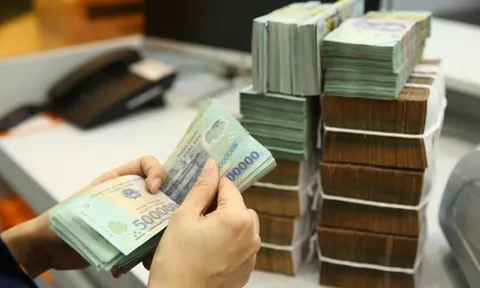 Đề xuất gia hạn thời hạn nộp thuế và tiền thuê đất năm 2025