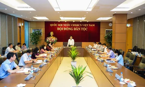 Nhiệm vụ, cơ cấu tổ chức của Hội đồng Dân tộc, các Ủy ban của Quốc hội