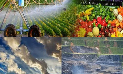 Quy định chức năng, nhiệm vụ, quyền hạn và cơ cấu tổ chức của Bộ Nông nghiệp và Môi trường