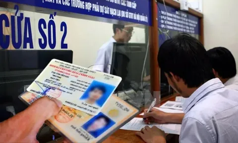 Những trường hợp không được cấp lại giấy phép lái xe