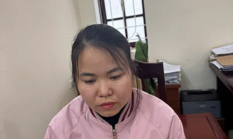 Bắt đối tượng thuê gần 50 ô tô rồi làm giả giấy tờ mang đi bán