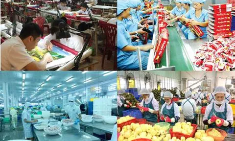 Thành lập Ban Chỉ đạo xây dựng Đề án Phát triển kinh tế tư nhân