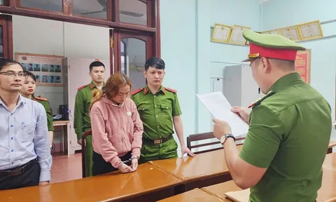 Bắt 'nữ quái' lừa làm hồ sơ xuất khẩu lao động để chiếm đoạt 500 triệu đồng