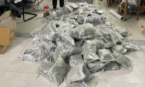 Phá đường dây mua bán ma túy từ Thái Lan vào Việt Nam, thu giữ hơn 153kg cần sa