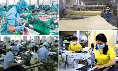 Hướng dẫn sử dụng kinh phí hỗ trợ doanh nghiệp tư nhân kinh doanh bền vững
